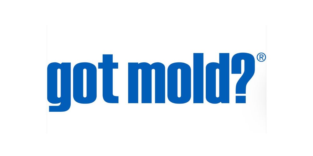 Got MOLD?